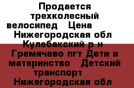 Продается трехколесный велосипед › Цена ­ 3 000 - Нижегородская обл., Кулебакский р-н, Гремячево пгт Дети и материнство » Детский транспорт   . Нижегородская обл.